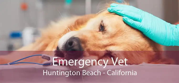 Emergency Vet Huntington Beach - California