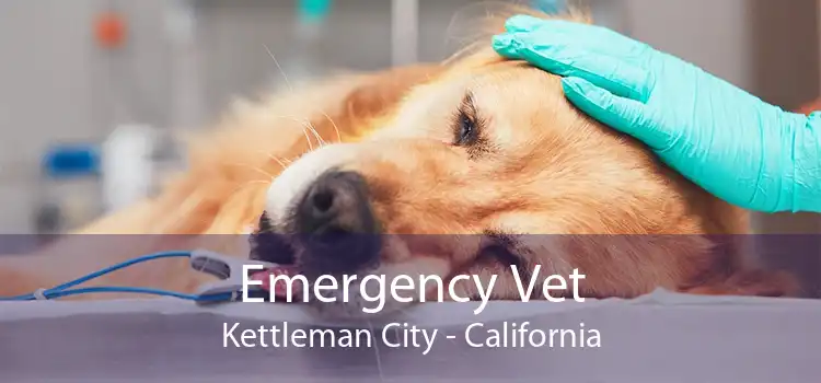 Emergency Vet Kettleman City - California