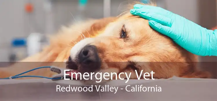 Emergency Vet Redwood Valley - California