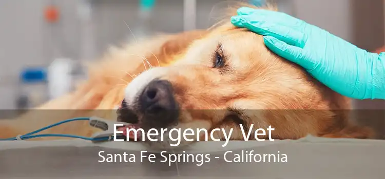 Emergency Vet Santa Fe Springs - California