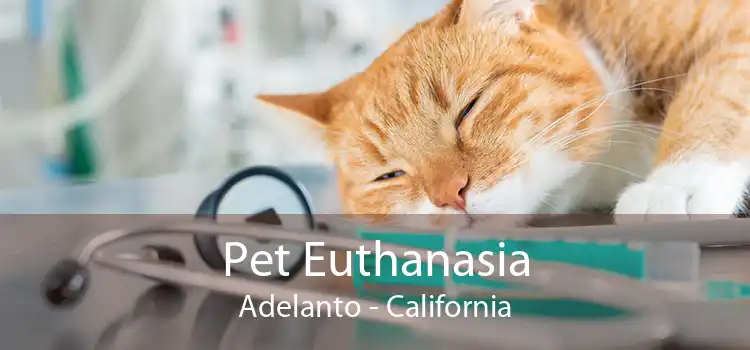 Pet Euthanasia Adelanto - California