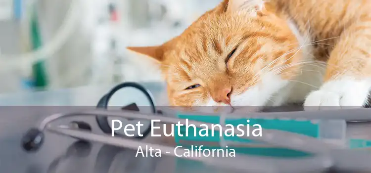 Pet Euthanasia Alta - California