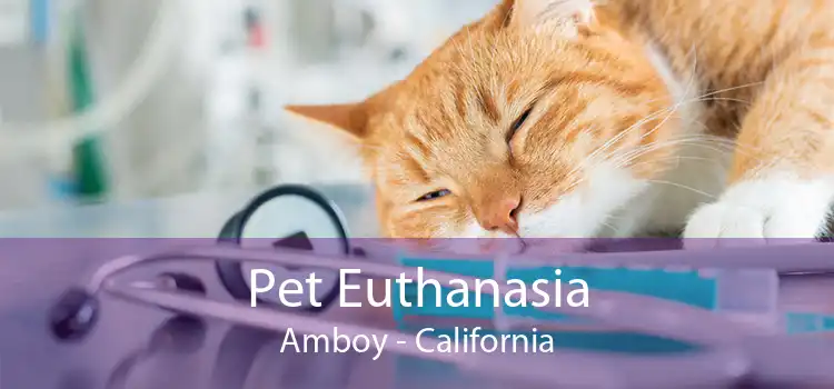 Pet Euthanasia Amboy - California