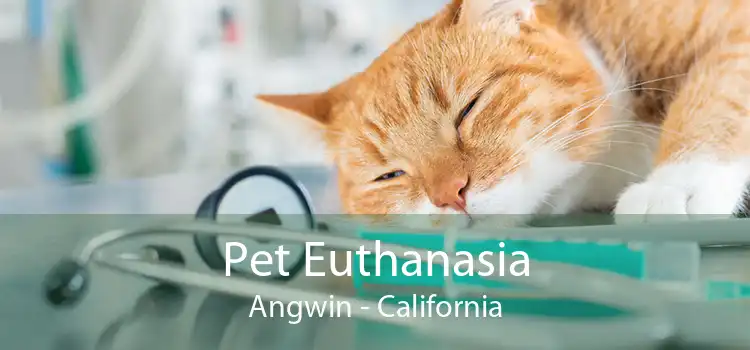 Pet Euthanasia Angwin - California