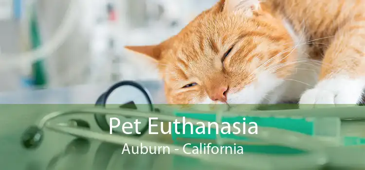 Pet Euthanasia Auburn - California