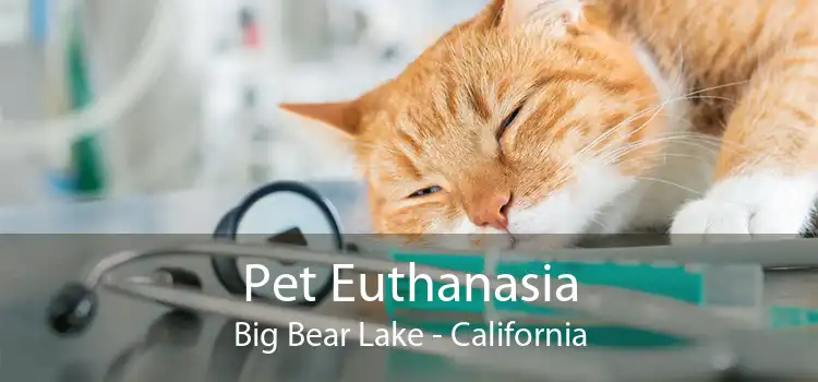 Pet Euthanasia Big Bear Lake - California