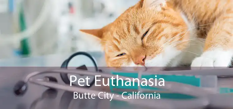 Pet Euthanasia Butte City - California