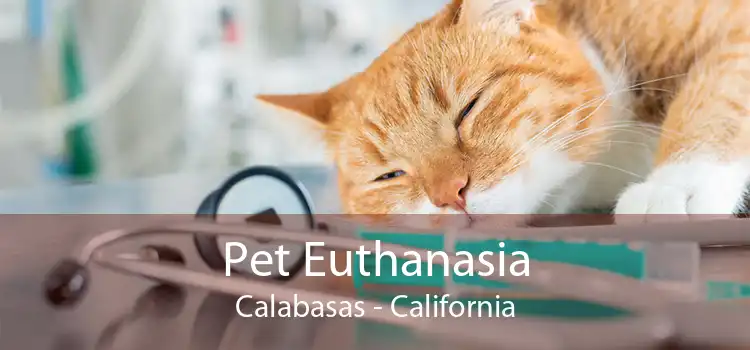 Pet Euthanasia Calabasas - California