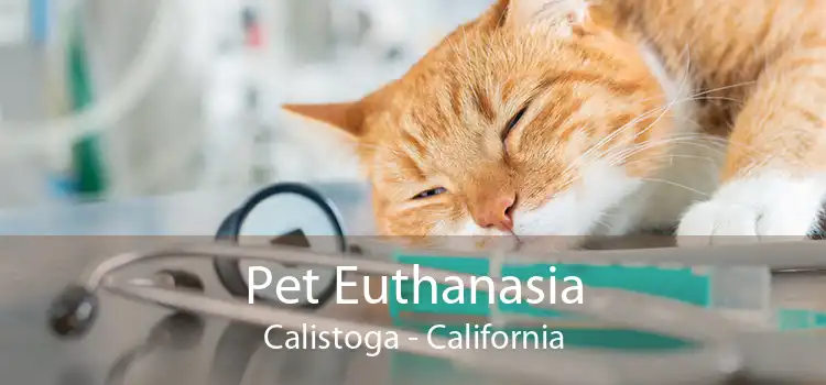 Pet Euthanasia Calistoga - California