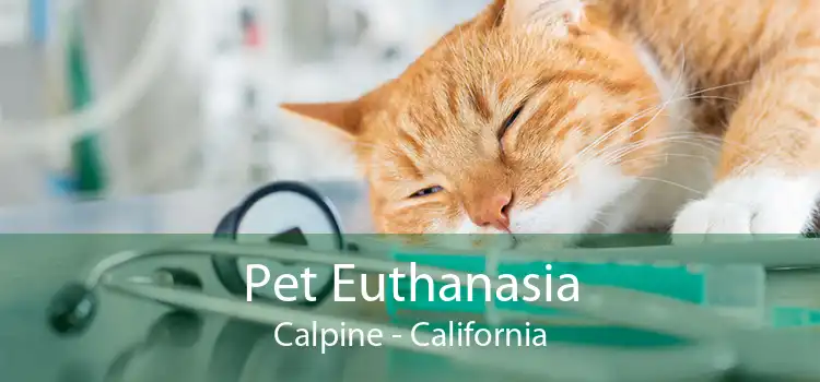 Pet Euthanasia Calpine - California