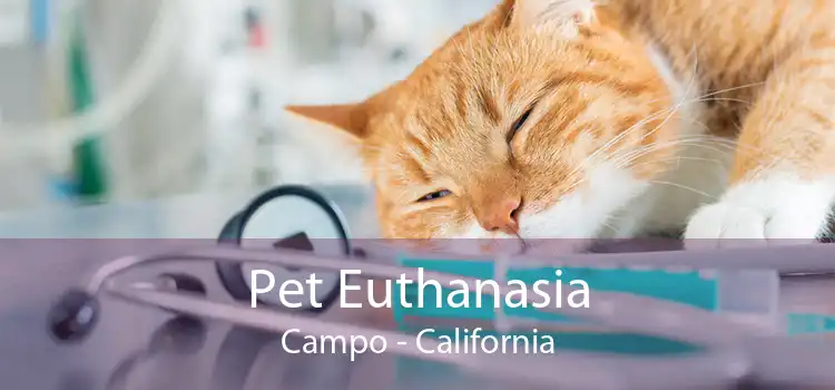 Pet Euthanasia Campo - California