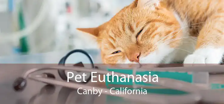 Pet Euthanasia Canby - California