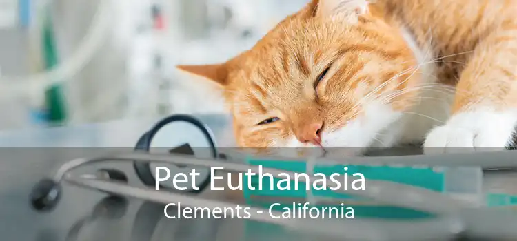 Pet Euthanasia Clements - California