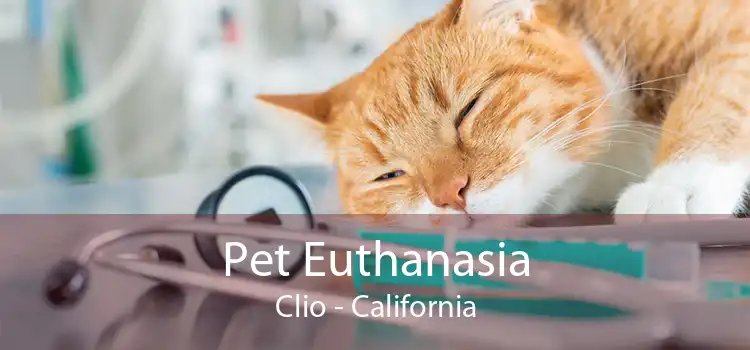 Pet Euthanasia Clio - California