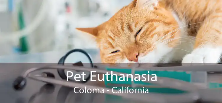 Pet Euthanasia Coloma - California