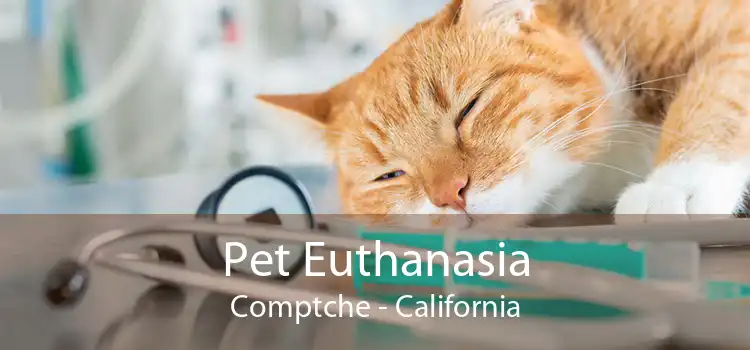 Pet Euthanasia Comptche - California