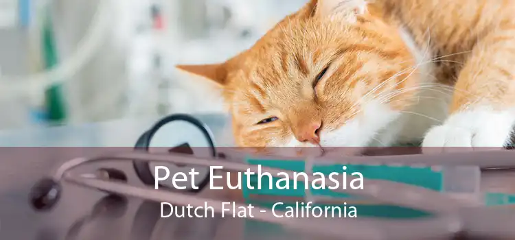 Pet Euthanasia Dutch Flat - California