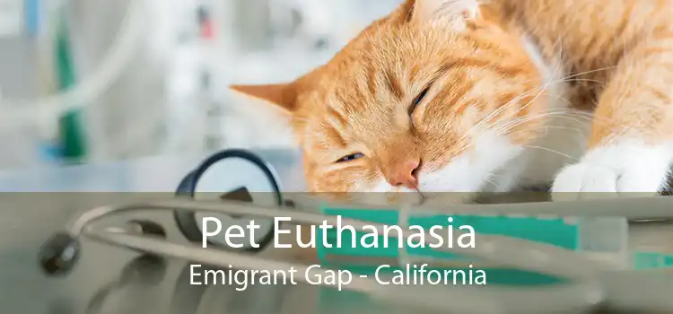 Pet Euthanasia Emigrant Gap - California