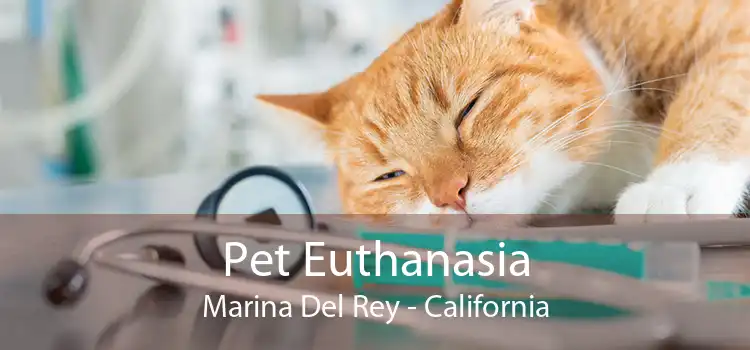 Pet Euthanasia Marina Del Rey - California