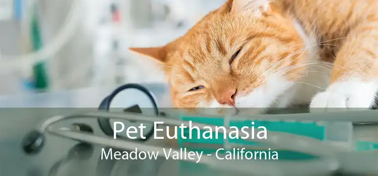 Pet Euthanasia Meadow Valley - California