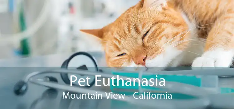 Pet Euthanasia Mountain View - California