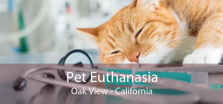 Pet Euthanasia Oak View - California