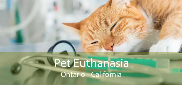 Pet Euthanasia Ontario - California