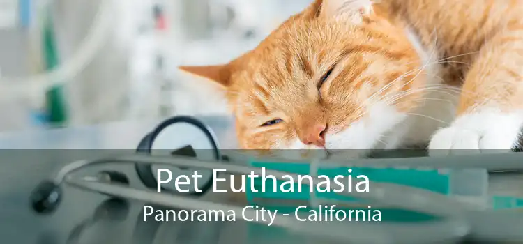 Pet Euthanasia Panorama City - California