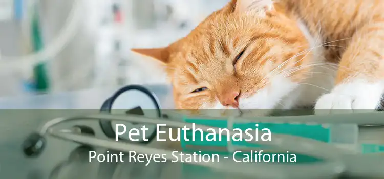 Pet Euthanasia Point Reyes Station - California