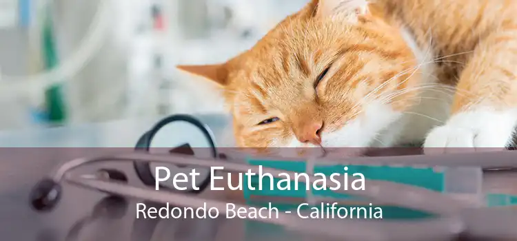 Pet Euthanasia Redondo Beach - California