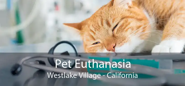 Pet Euthanasia Westlake Village - California