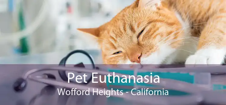 Pet Euthanasia Wofford Heights - California