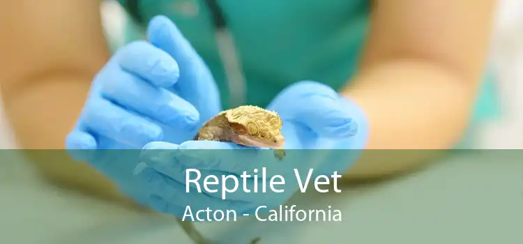 Reptile Vet Acton - California