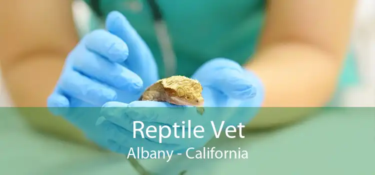 Reptile Vet Albany - California