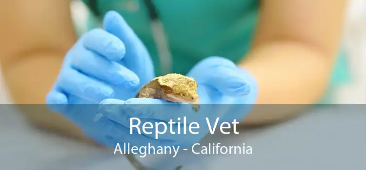Reptile Vet Alleghany - California