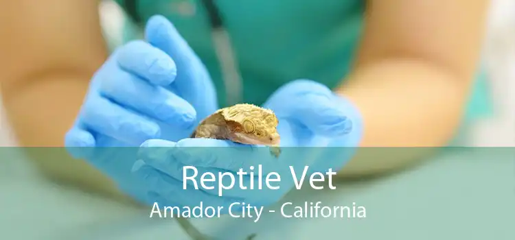 Reptile Vet Amador City - California