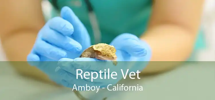 Reptile Vet Amboy - California