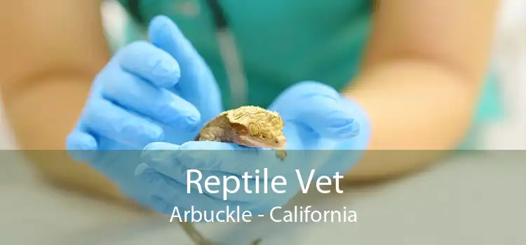Reptile Vet Arbuckle - California