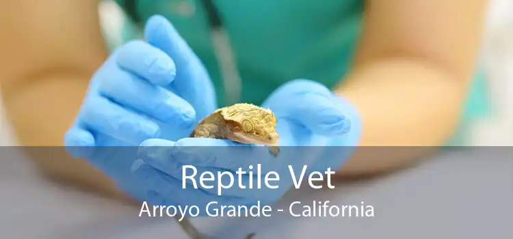 Reptile Vet Arroyo Grande - California