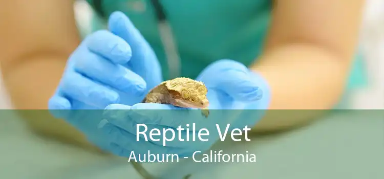 Reptile Vet Auburn - California