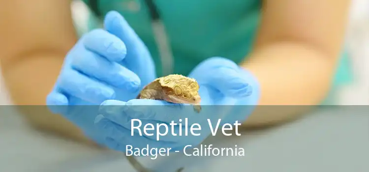 Reptile Vet Badger - California