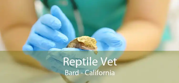 Reptile Vet Bard - California