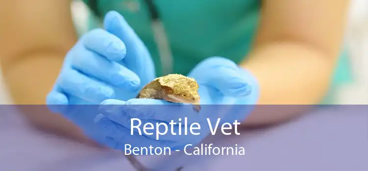 Reptile Vet Benton - California