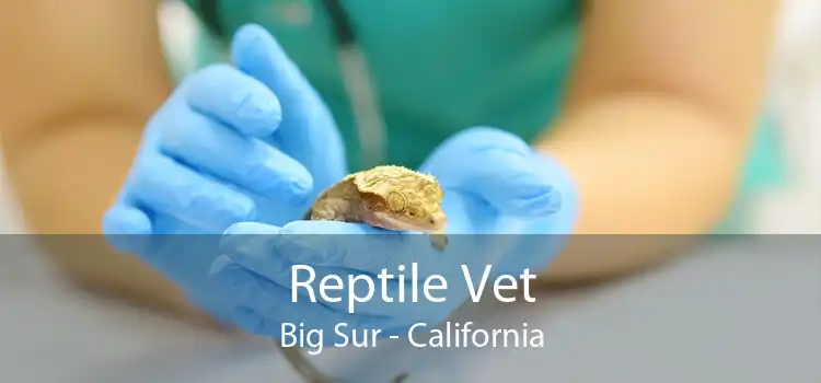Reptile Vet Big Sur - California