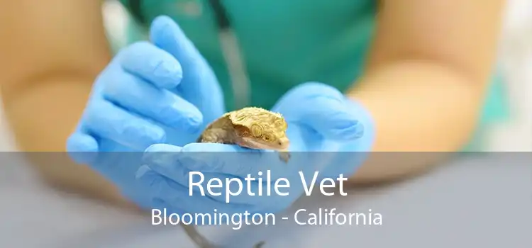 Reptile Vet Bloomington - California