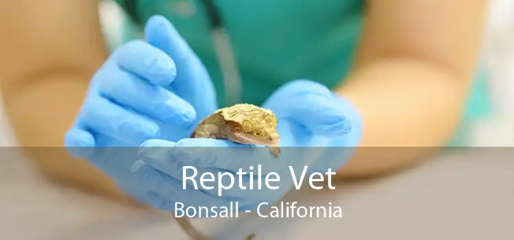 Reptile Vet Bonsall - California