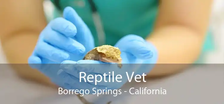 Reptile Vet Borrego Springs - California