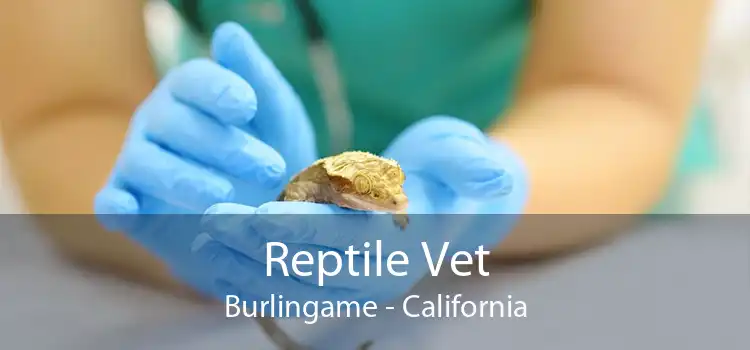 Reptile Vet Burlingame - California