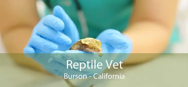 Reptile Vet Burson - California