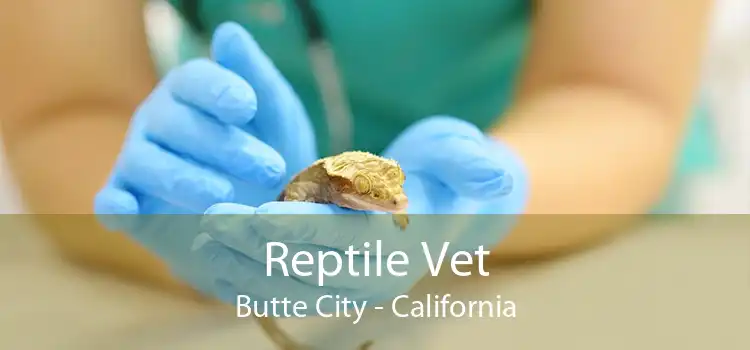 Reptile Vet Butte City - California